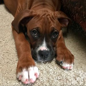 Meet your Posher, Lisa